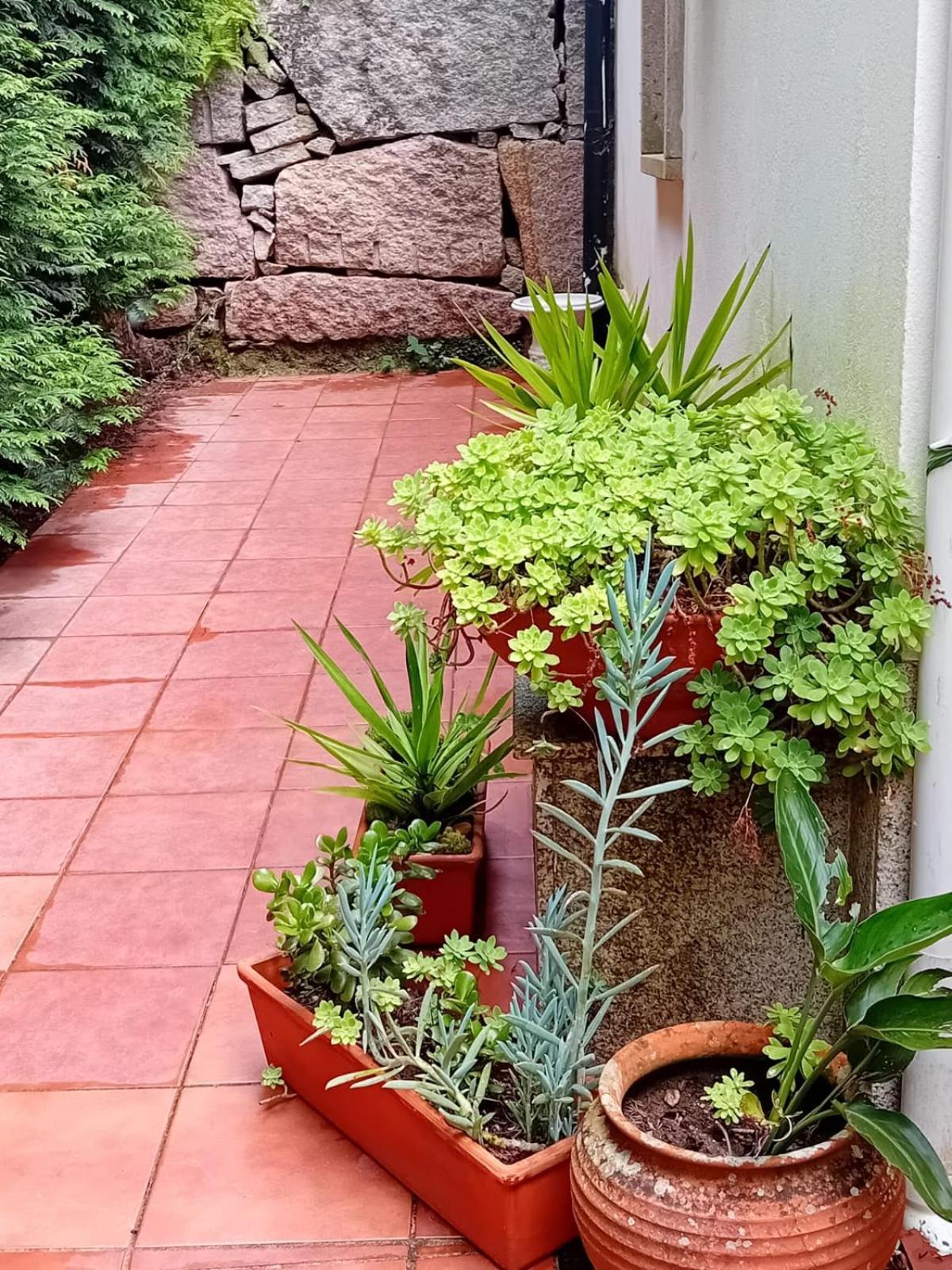 Vivienda Con Jardin Terraza Y Barbacoa